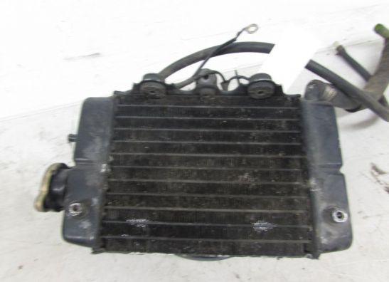 Radiateur Honda XL 600