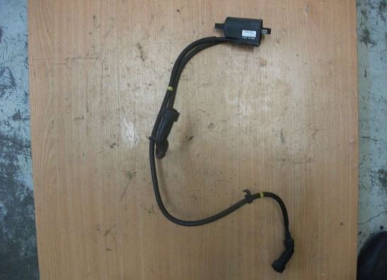 Bobine Yamaha XJ 900 S Diversion