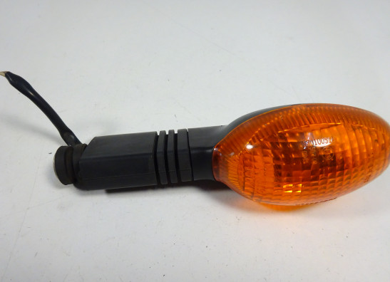 Winker right front Ducati Monster 695