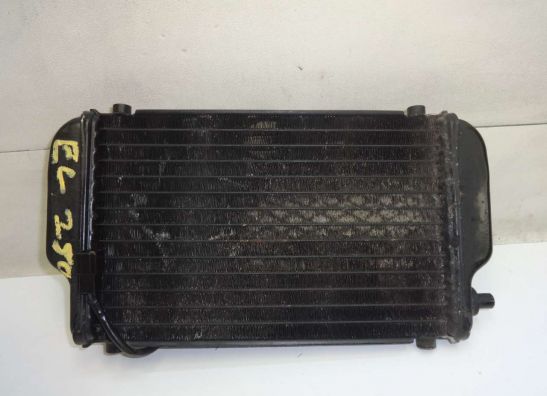 Radiateur Kawasaki EL 250