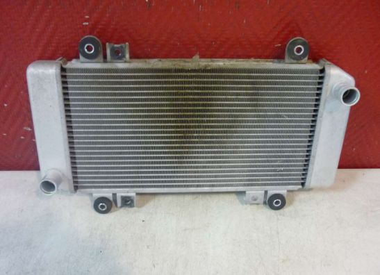 Radiator Kawasaki ZX 250 R - Ninja 250 R
