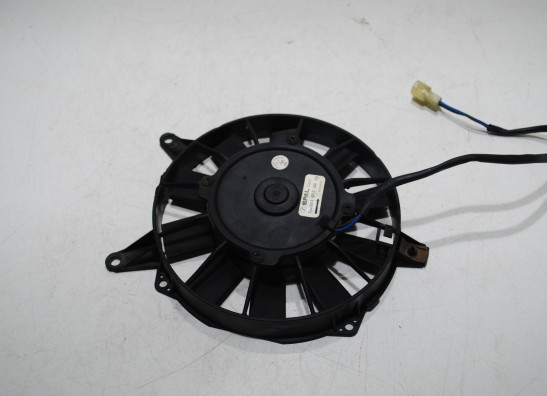 Ventilator Triumph 900 Daytona