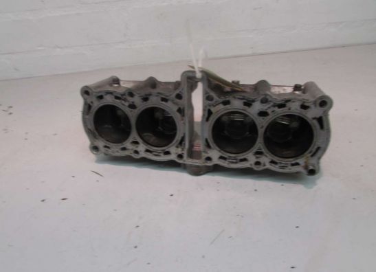 Cilinderblok Yamaha YZF 600 Thundercat