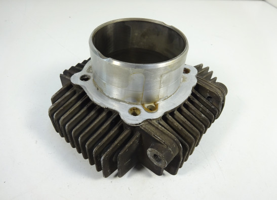 Cilinderblok Ducati Monster 695