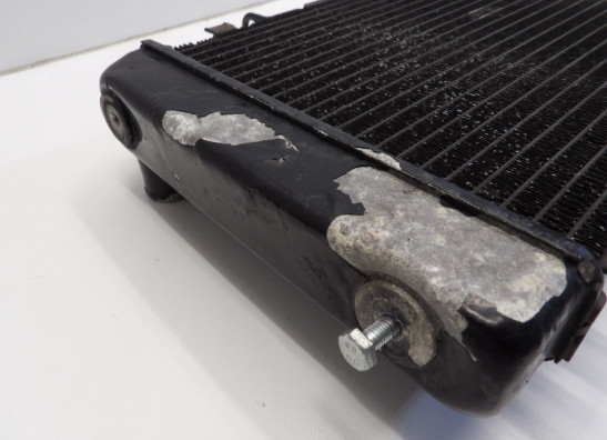 Radiateur Kawasaki Z 750