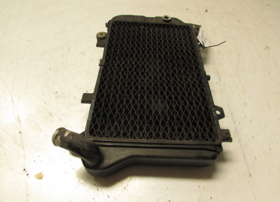 Kuhler Kawasaki ZZR 600