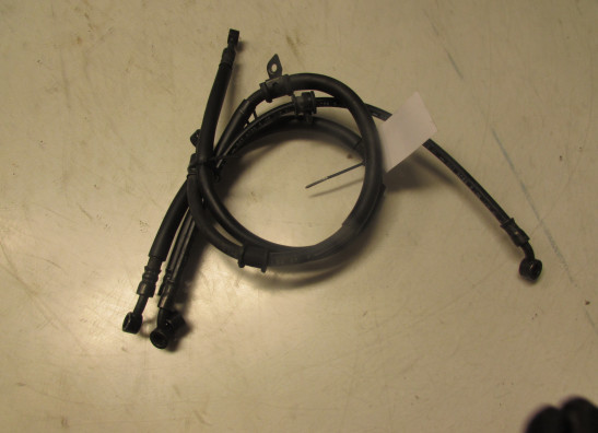 Bremsleitung vorne Honda CBR 1100 XX