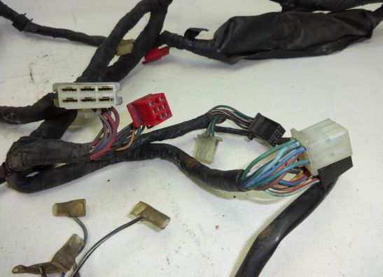 Kabelboom Honda PC 800