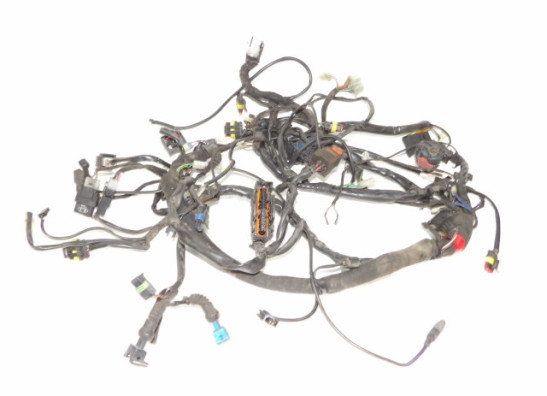 Kabelboom Moto Guzzi Norge