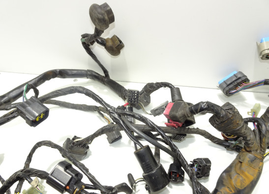 Kabelboom Kawasaki Z 750