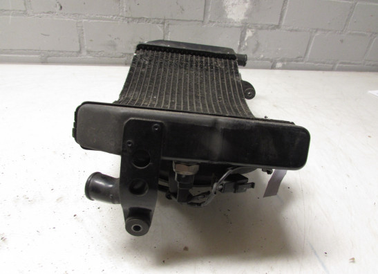 Radiator Honda CBR 600 RR