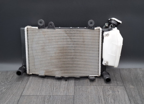 Radiateur BMW F 900 XR