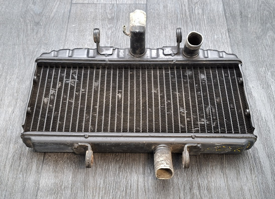 Radiator Suzuki GT 750