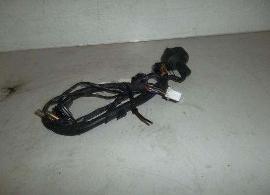 Wire harness front Yamaha FAZER 600