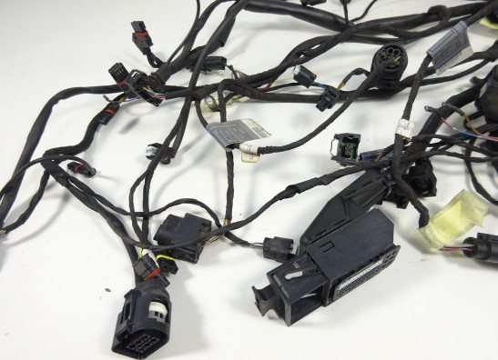 Wire Harness BMW F 800 S - ST