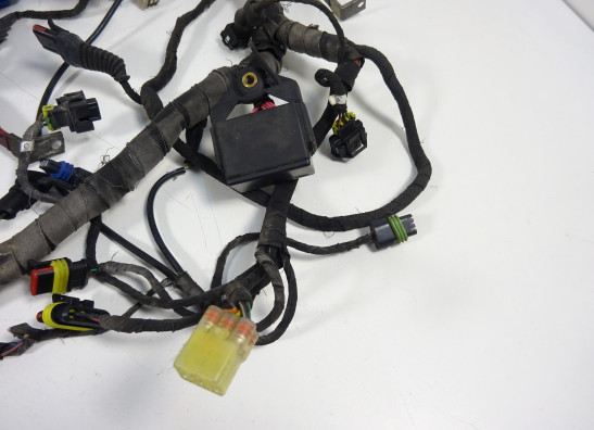 Kabelbaum Ducati 848