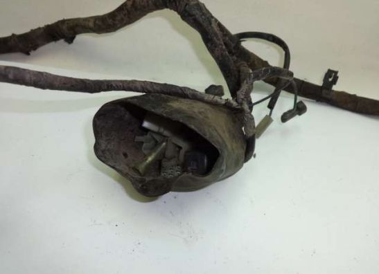 Kabelbaum Honda TRANSALP