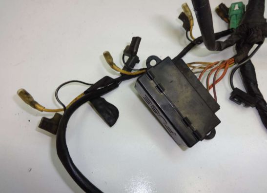 Kabelboom Suzuki RF 600