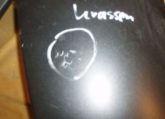 Cowl right small Yamaha YZF R1