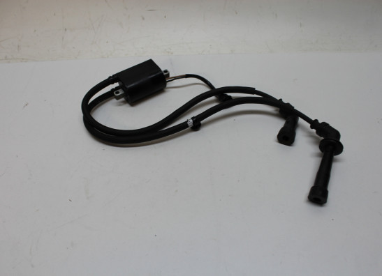 Zundspule Suzuki DL 650 V STROM