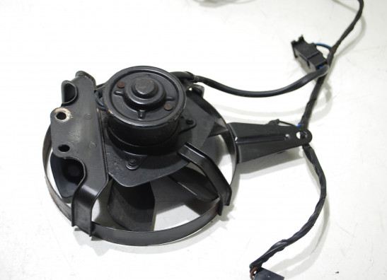 Fan Yamaha GTS 1000