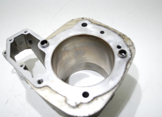 Zylinder BMW R 1100 GS