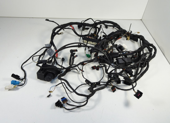 Kabelbaum BMW R 1200 RT