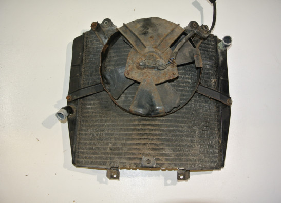 Kuhler Suzuki GSX R 1100