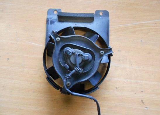 Fan Yamaha TDM