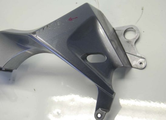 Seitenverkleidung links klein Yamaha FJR 1300