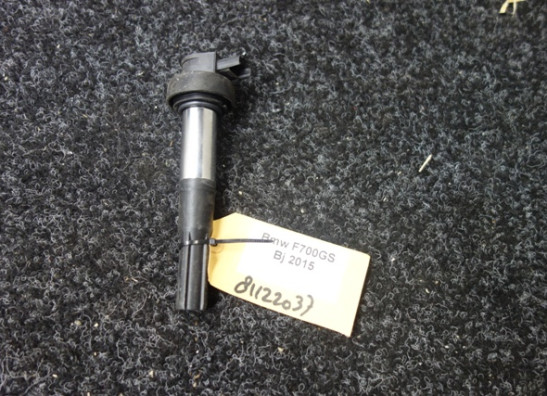 Bobine BMW F 700 GS