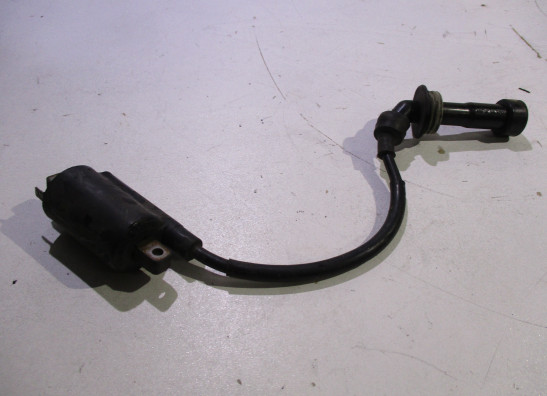 Zundspule Yamaha TDM