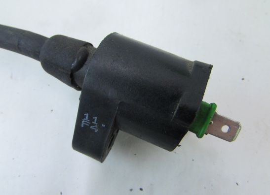 Ignition Coil Overig Onbekend Unknown