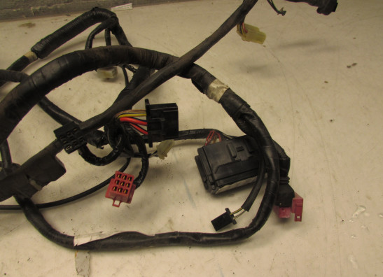 Kabelboom Honda CBR 1000 F