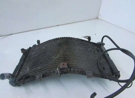 Radiator Suzuki GSX R 1300 Hayabusa