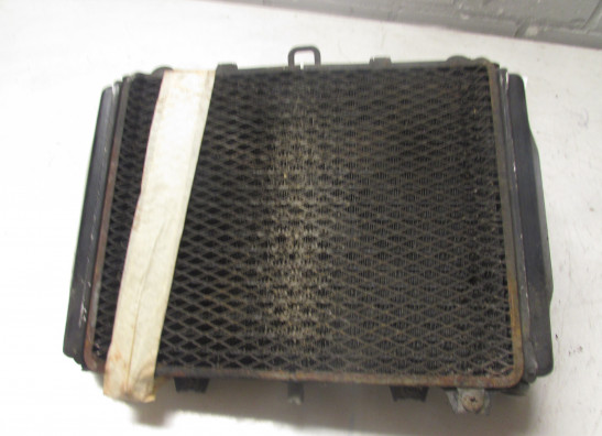 Kuhler Kawasaki GPX 600