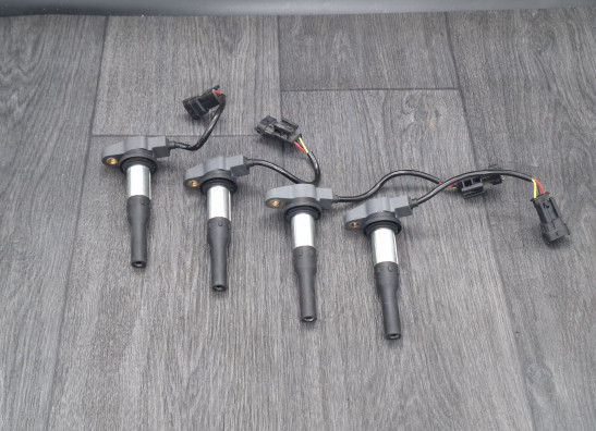 Bobine Ducati Multistrada V4