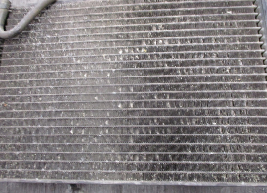 Radiateur Triumph Tiger 800