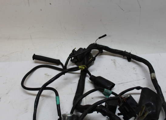 Kabelboom Honda CBF 250