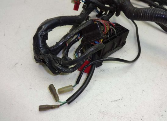Wire Harness Honda CBR 1000 F