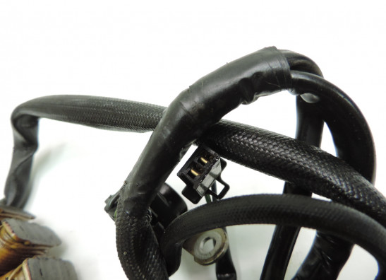 Dynamo Suzuki VX 800