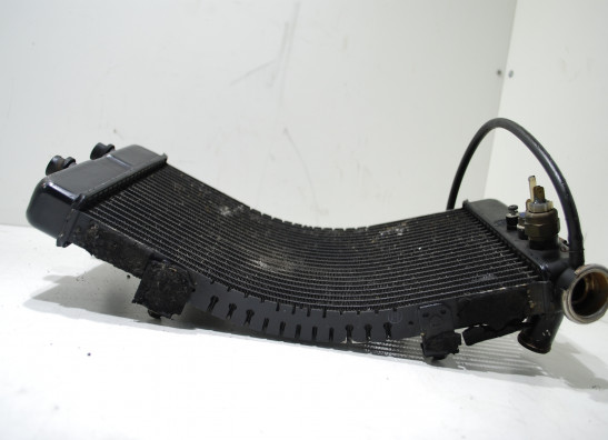 Radiator Yamaha GTS 1000