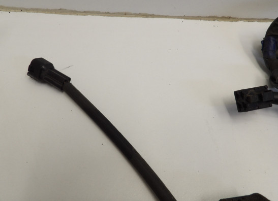 Kabelboom Triumph Sprint ST 1050