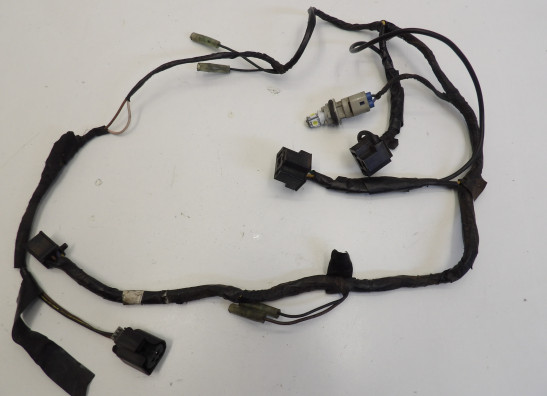 Wire harness front Yamaha FZR 600