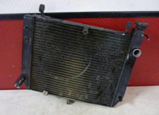 Radiateur Yamaha YZF R1
