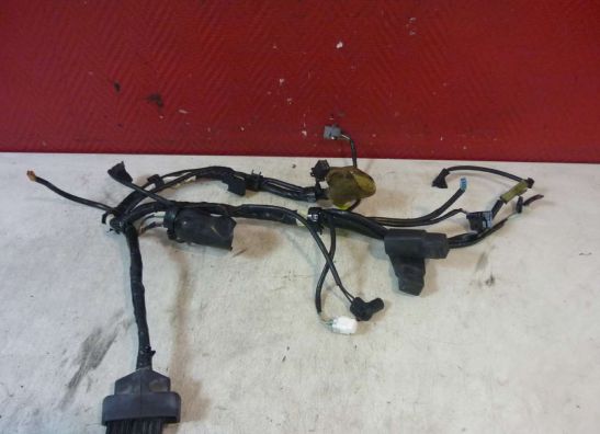 Wire harness front Honda ST 1300 Pan European