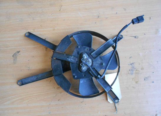 Fan Kawasaki ZXR 750
