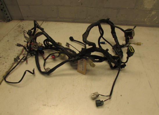 Wire Harness Yamaha FJR 1300