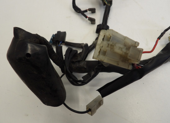 Kabelboom Yamaha FZ6