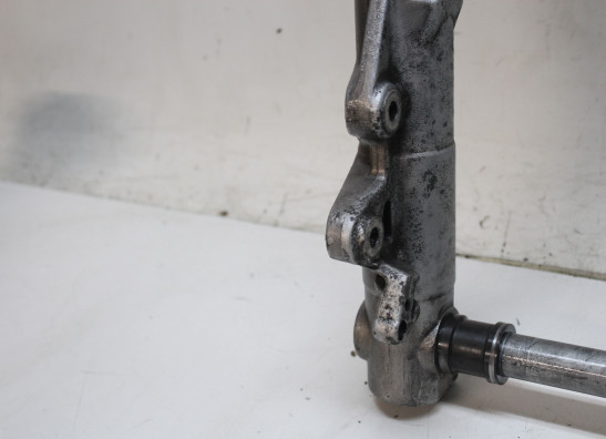 Voorpoten compleet BMW F 800 S - ST